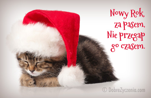Nowy Rok za pasem, nie przegap go czasem... SzampaÅ„skiej zabawy i do siego roku. 