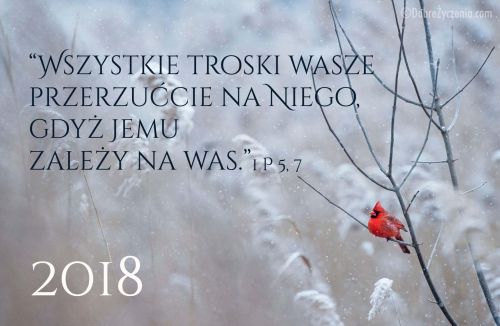 On siÄ™ naprawdÄ™ troszczy!