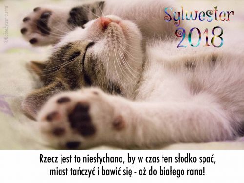 Nie przeÅ›pij Sylwestra!