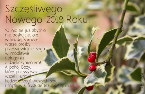 SzczÄ™Å›liwego Nowego Roku, bez zbytnich trosk!