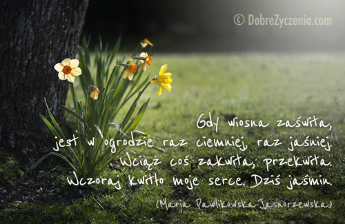 Wiosna w poezji polskiej