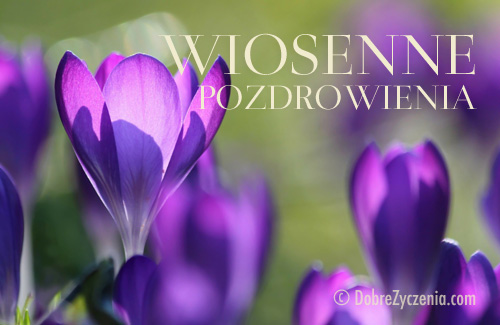 Wiosenne pozdrowienia... Å»yczenia na pierwszy dzieÅ„ wiosny