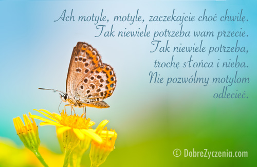 OtwÃ³rz oczy na piÄ™kno, ktÃ³re CiÄ™ otacza...