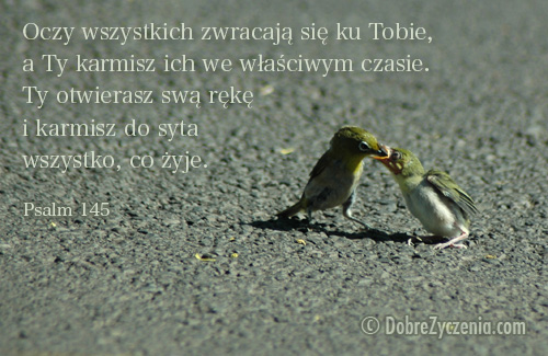 Psalm 145: Otwierasz rÄ™kÄ™ i karmisz nas do syta.