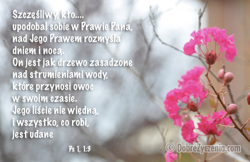 Psalm 1: SzczÄ™Å›liwy kto upodobaÅ‚ w prawie Pana