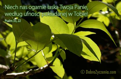 Psalm 33 : UfnoÅ›Ä‡