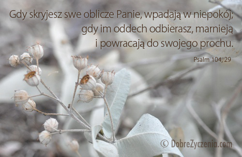 Psalm 104: Gdy skryjesz swe oblicze Panie...