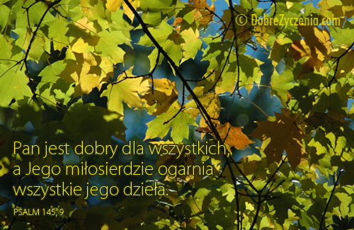 Psalm 145: MiÅ‚osierdzie Boga ogarnia jego dzieÅ‚a