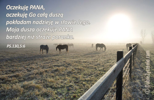 Psalm 130 - OczekujÄ™ Pana. Ufam Jego sÅ‚owu.