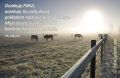Psalm 130 - Oczekuję Pana. Ufam Jego słowu.