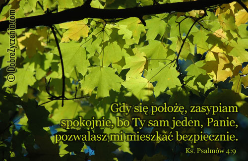 Psalm 4: SpokÃ³j oraz bezpieczeÅ„stwo w Bogu
