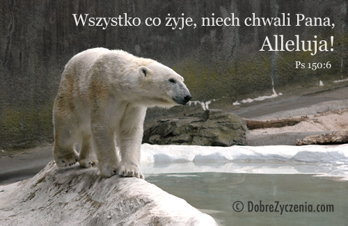 Psalm 150: Wszystko co Å¼yje, niech chwali Pana!