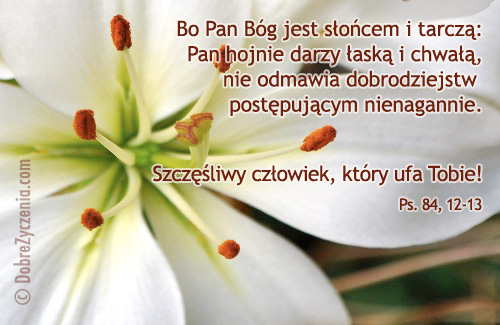 Psalm 84 - Pan hojnie darzy Å‚askÄ… i chwaÅ‚Ä….