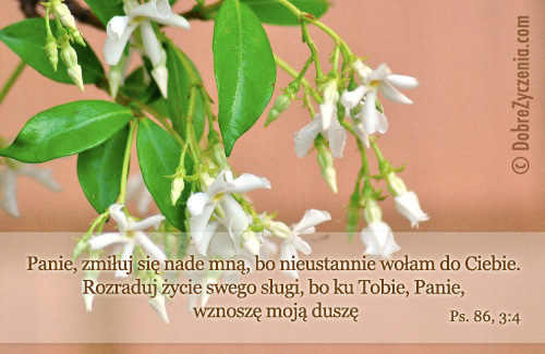 Psalm 86: Panie, rozraduj moje Å¼ycie, Tobie ufam!