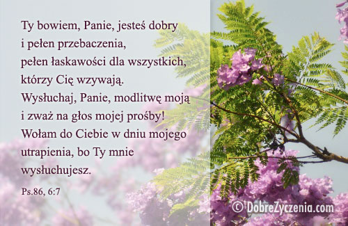 Psalm 86: Ty bowiem, Panie, jesteÅ› dobry...