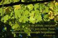 Psalm 4: Spokój oraz bezpieczeństwo w Bogu