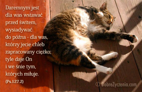 Psalm 127: On daje i we Å›nie tym ktÃ³rych miÅ‚uje.