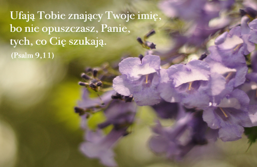 Nigdy nie opuszczasz Panie szukajÄ…cych Ciebie.