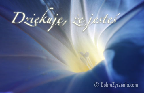 DziÄ™kujÄ™, Å¼e jesteÅ›