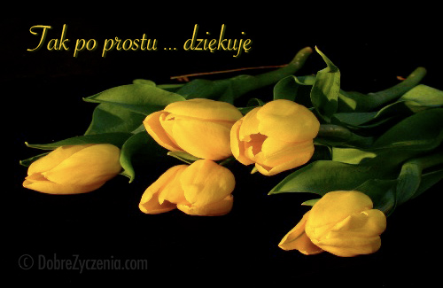 Po prostu, dziÄ™kujÄ™