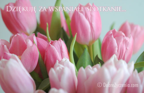 DziÄ™kujÄ™ za spotkanie