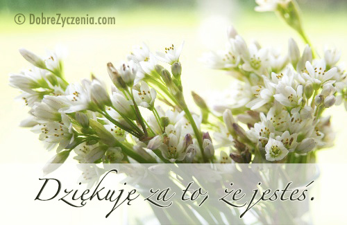 DziÄ™kuje za to, Å¼e jesteÅ›