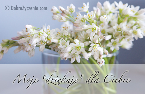 Moje dziÄ™kujÄ™ dla Ciebie