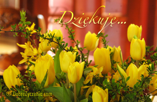 DziÄ™kujÄ™ Ci za wszystko... tak po prostu.