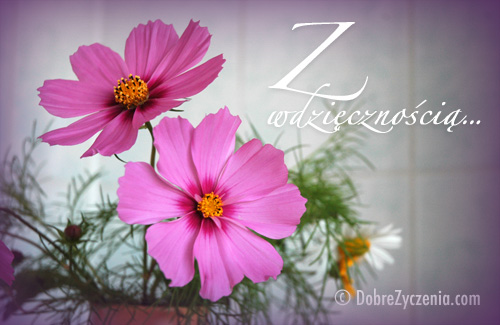 Z wdziÄ™cznoÅ›ciÄ…...