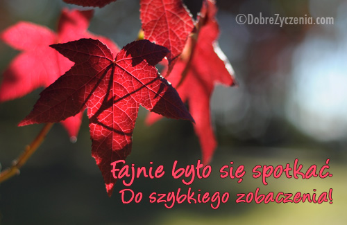 Fajnie byÅ‚o siÄ™ spotkaÄ‡... Do zobaczenia.