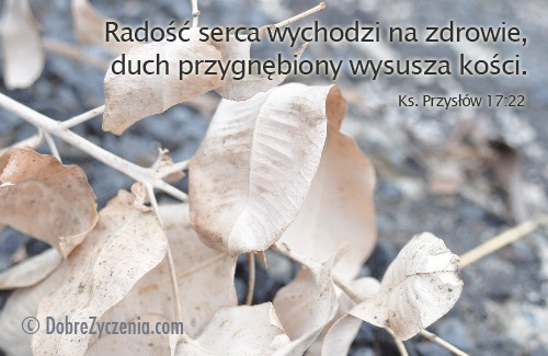 Z KsiÄ™gi PrzysÅ‚Ã³w