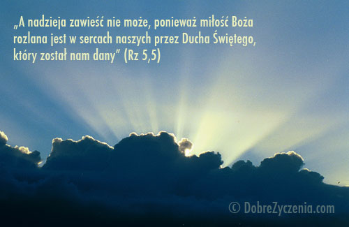 A nadzieja zawieÅ›Ä‡Â nie moÅ¼e...