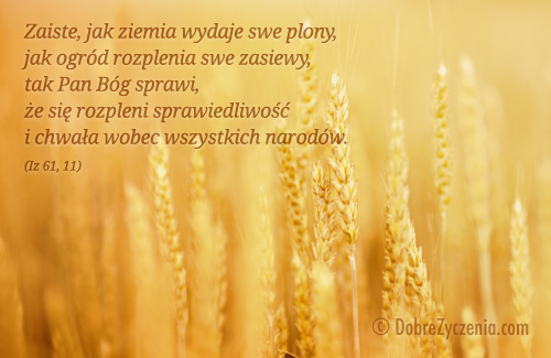 Jak ziemia wydaje swe plony..., tak BÃ³g sprawi, Å¼e siÄ™Â rozpleni sprawiedliwoÅ›Ä‡.