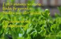 I oto mamy wiosnę