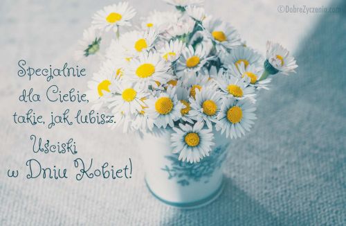 Stokrotki, takie jak lubisz...