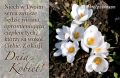 Na Dzień Kobiet: Życzenia wiosny w sercu.