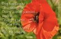 Najpiękniejsze życzenia z okazji Dnia Dziadka