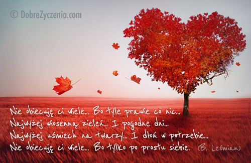 Nie obiecujÄ™ ci wiele... Bo tylko po prostu siebie.