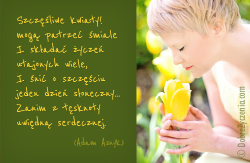SzczÄ™Å›liwe kwiaty