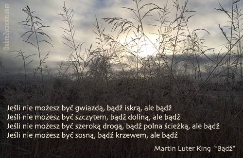 Martin Luter King "BÄ…dÅº"