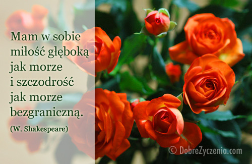Mam w sobie miłość głęboką (Shakespeare)