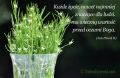 Każde życie ma wielką wartość w oczach Boga.