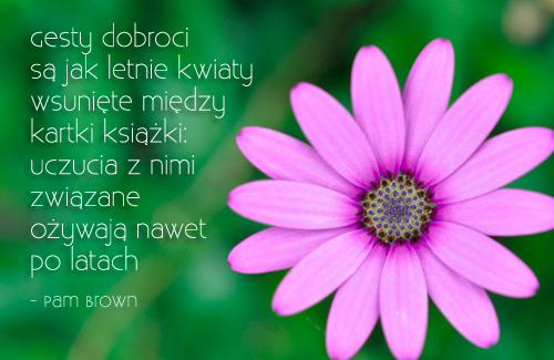 Gesty dobroci sÄ… jak letnie kwiaty...