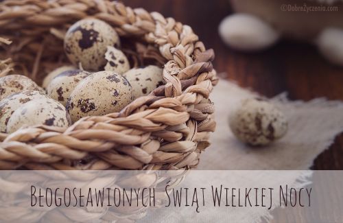 BÅ‚ogosÅ‚awionych ÅšwiÄ…t!