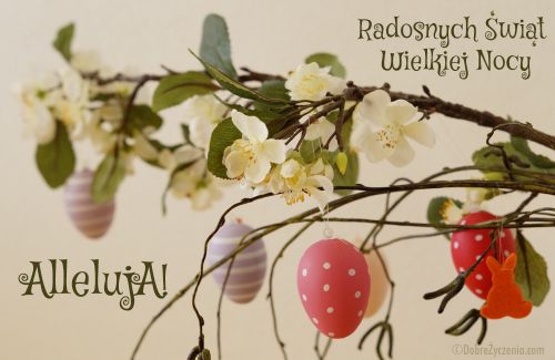 Radosnych ÅšwiÄ…t!