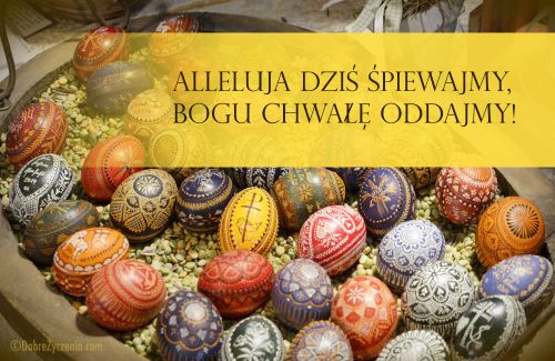 Alleluja! Oddajmy chwaÅ‚Ä™ Bogu!