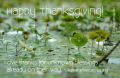 Give thanks for unknown blessings...